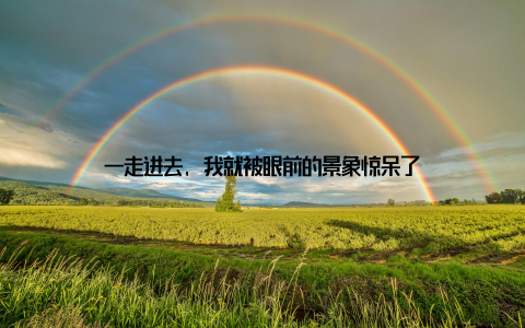 一走进去, 我就被眼前的景象惊呆了