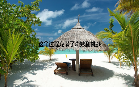 这个过程充满了奇妙和挑战