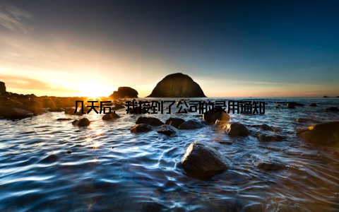 几天后, 我接到了公司的录用通知