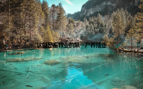 这就是畜牧业的第一产养殖业