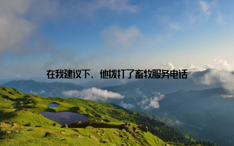 在我建议下, 他拨打了畜牧服务电话