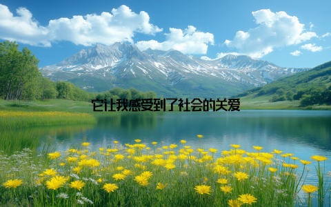 它让我感受到了社会的关爱