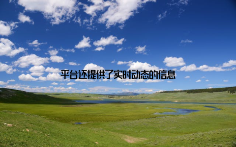 平台还提供了实时动态的信息