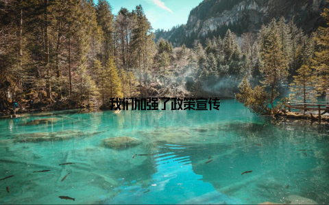 我们加强了政策宣传
