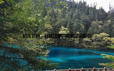 初来乍到, 我被这里的景象深深吸引