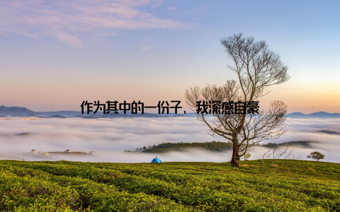 作为其中的一份子, 我深感自豪