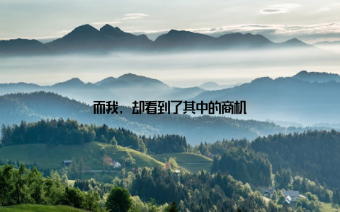 而我, 却看到了其中的商机
