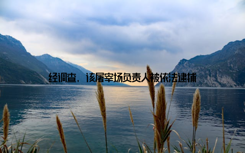 经调查, 该屠宰场负责人被依法逮捕