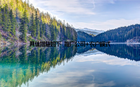 具体措施如下 推广公司+农户模式