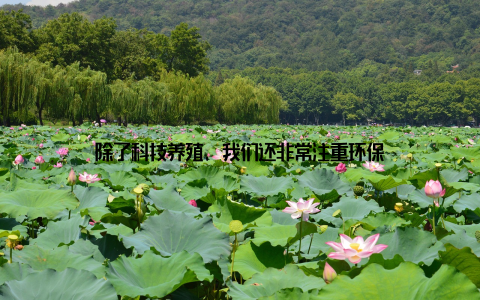 除了科技养殖, 我们还非常注重环保