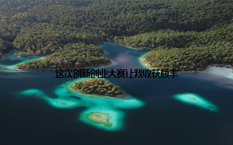 这次创新创业大赛让我收获颇丰