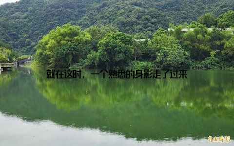 就在这时, 一个熟悉的身影走了过来
