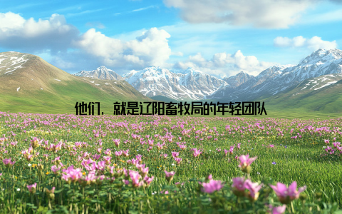 他们, 就是辽阳畜牧局的年轻团队