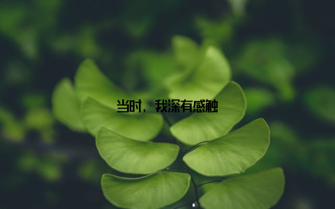 当时, 我深有感触