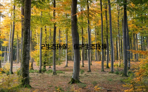 2生态环保, 保护生态环境
