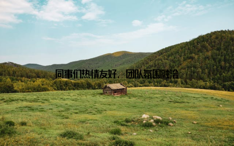 同事们热情友好, 团队氛围融洽