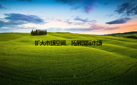扩大市场空间, 拓展国际市场