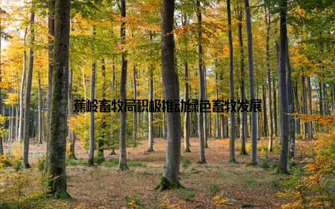 蕉岭畜牧局积极推动绿色畜牧发展