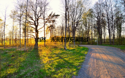 当然, 未来仍然充满挑战