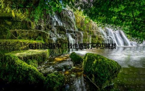 在培训过程中, 我也遇到了不少挑战