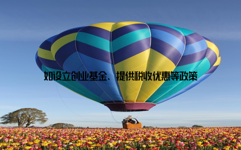 如设立创业基金、提供税收优惠等政策
