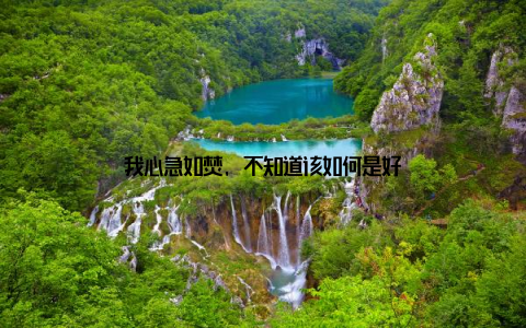 我心急如焚, 不知道该如何是好
