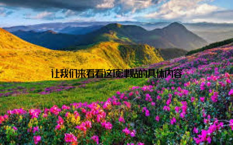 让我们来看看这项津贴的具体内容