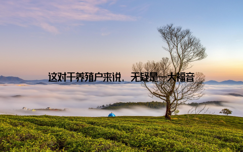 这对于养殖户来说, 无疑是一大福音