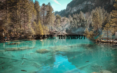 但展望未来, 我们仍需努力