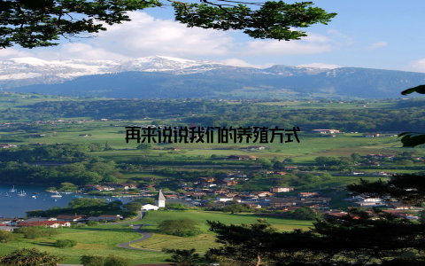 再来说说我们的养殖方式