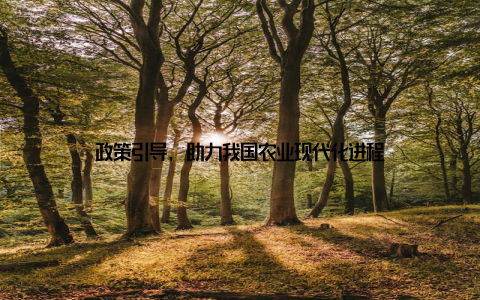 政策引导, 助力我国农业现代化进程