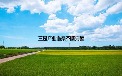 三是产业链条不断完善