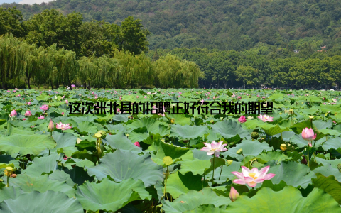 这次张北县的招聘正好符合我的期望