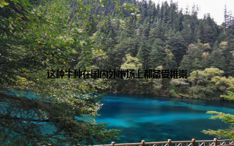 这种牛种在国内外市场上都备受推崇