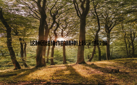 这种团结协作的精神让我深感敬佩