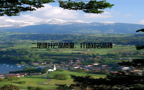 二是提升产品质量, 打造知名品牌