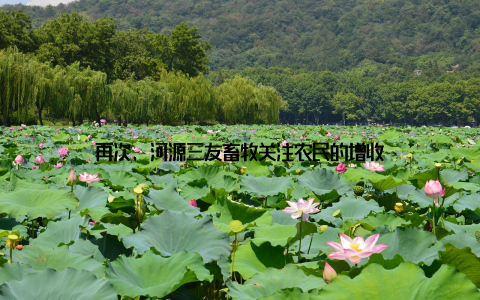 再次, 河源三友畜牧关注农民的增收