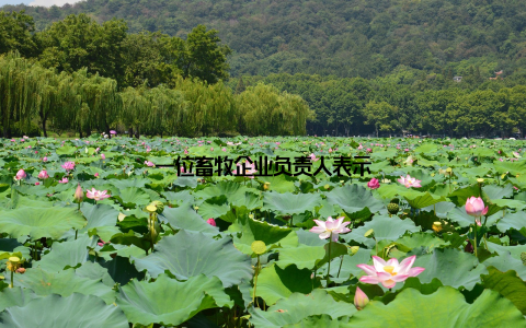 一位畜牧企业负责人表示