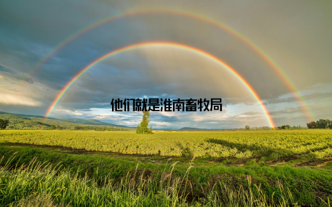 他们就是淮南畜牧局