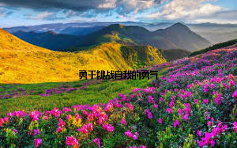 勇于挑战自我的勇气