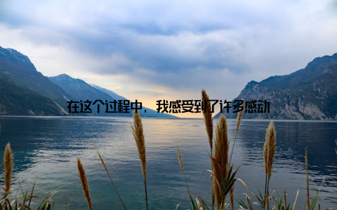 在这个过程中, 我感受到了许多感动