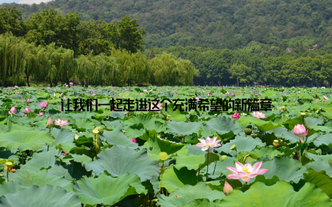 让我们一起走进这个充满希望的新篇章
