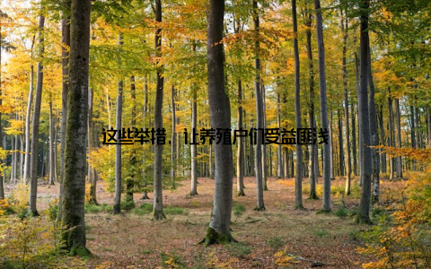 这些举措, 让养殖户们受益匪浅