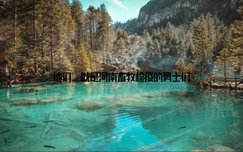 他们, 就是河南畜牧检疫的勇士们
