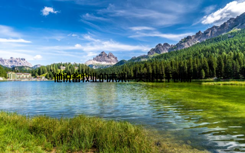 他说畜牧业的未来, 关键在于创新