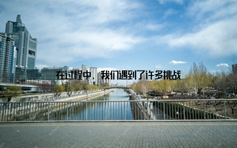 在过程中, 我们遇到了许多挑战