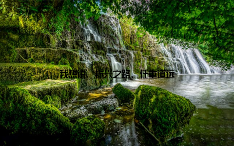 我想说, 振兴之路, 任重道远