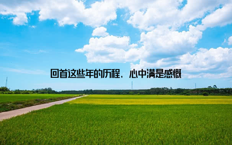 回首这些年的历程, 心中满是感慨