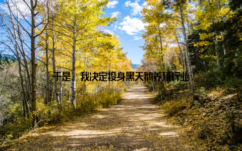 于是, 我决定投身黑天鹅养殖行业