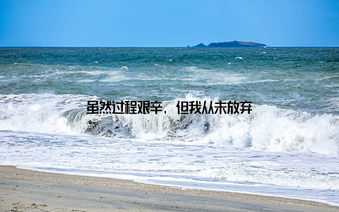 虽然过程艰辛, 但我从未放弃